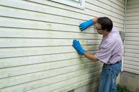 Affordable Siding Repair and Maintenance Services in Williamsport, OH